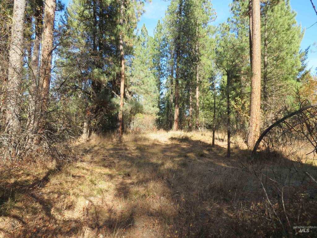 Picture 7