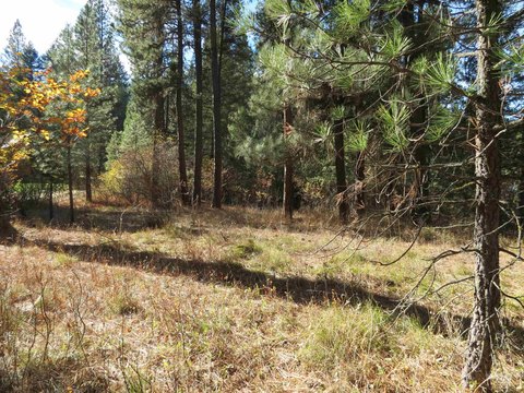 Land, Garden Valley, ID