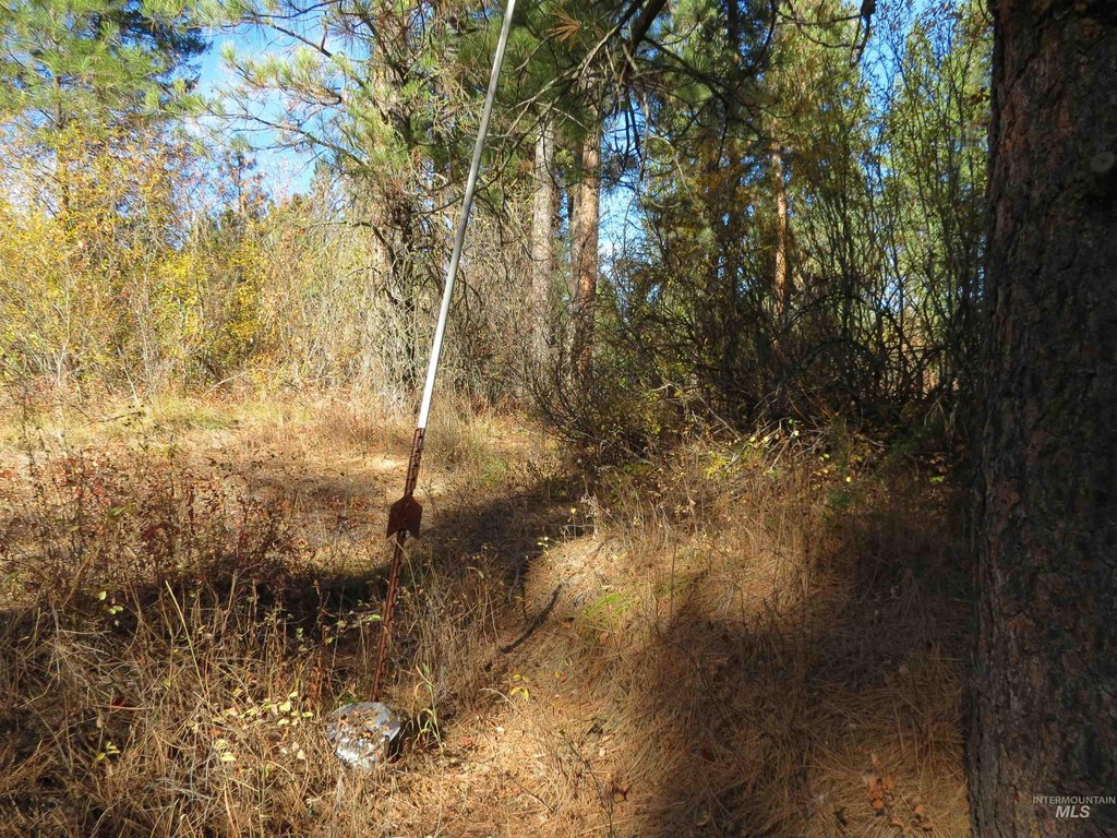 Picture 6