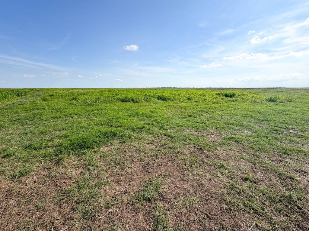 Picture 45
