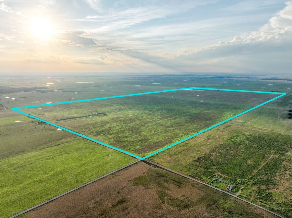 Picture 23