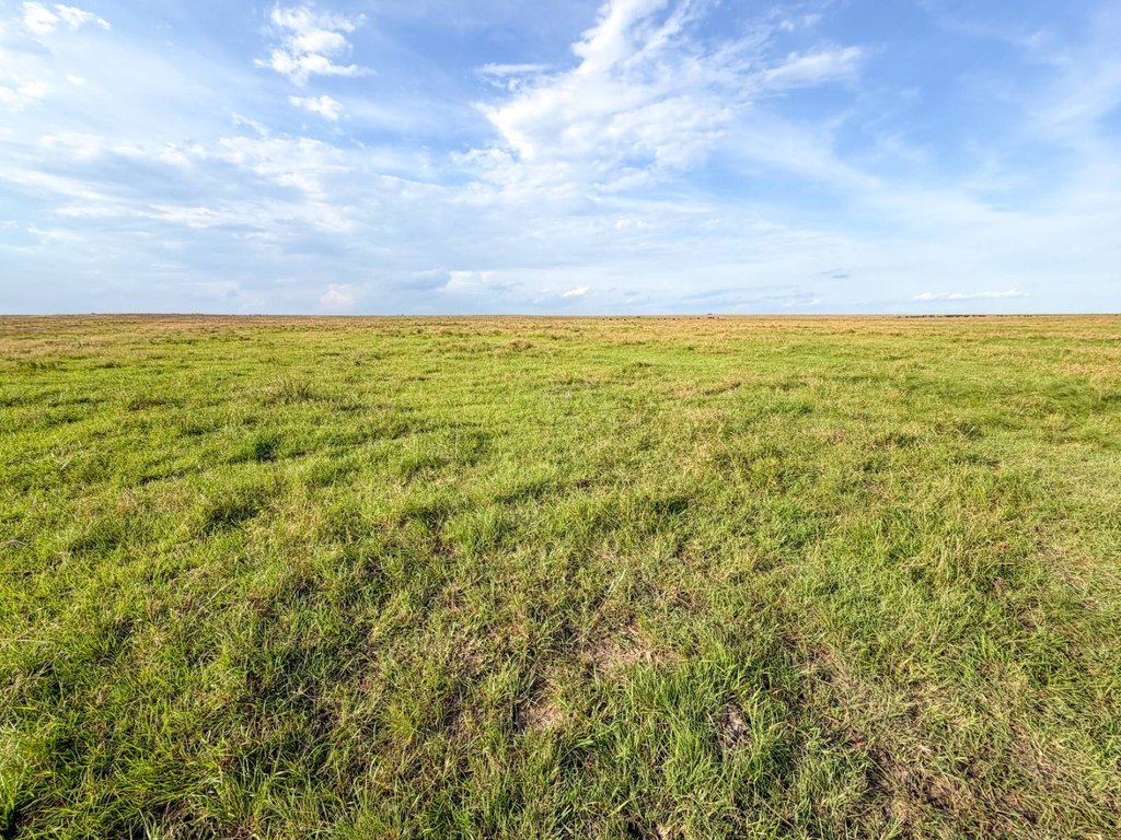 Picture 67