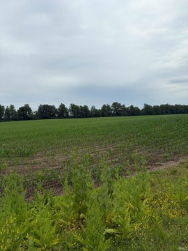 Agricultural Land With Building Sites