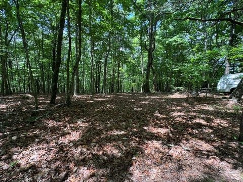 Vacant Lot - Blairsville, GA