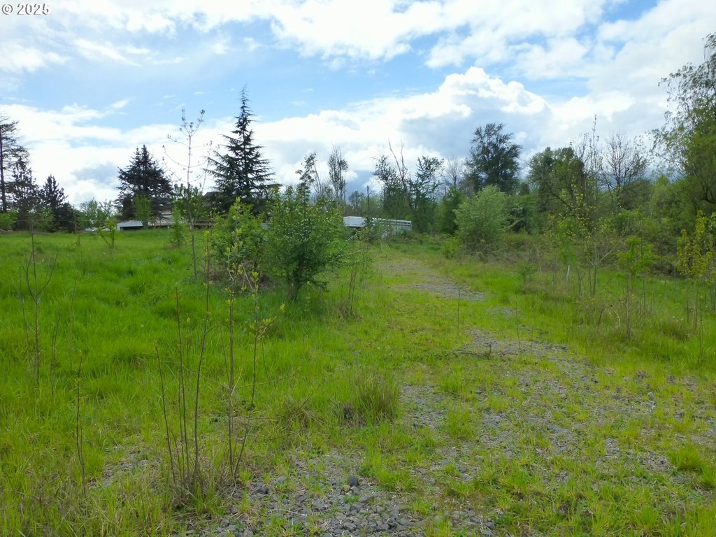 Picture 13