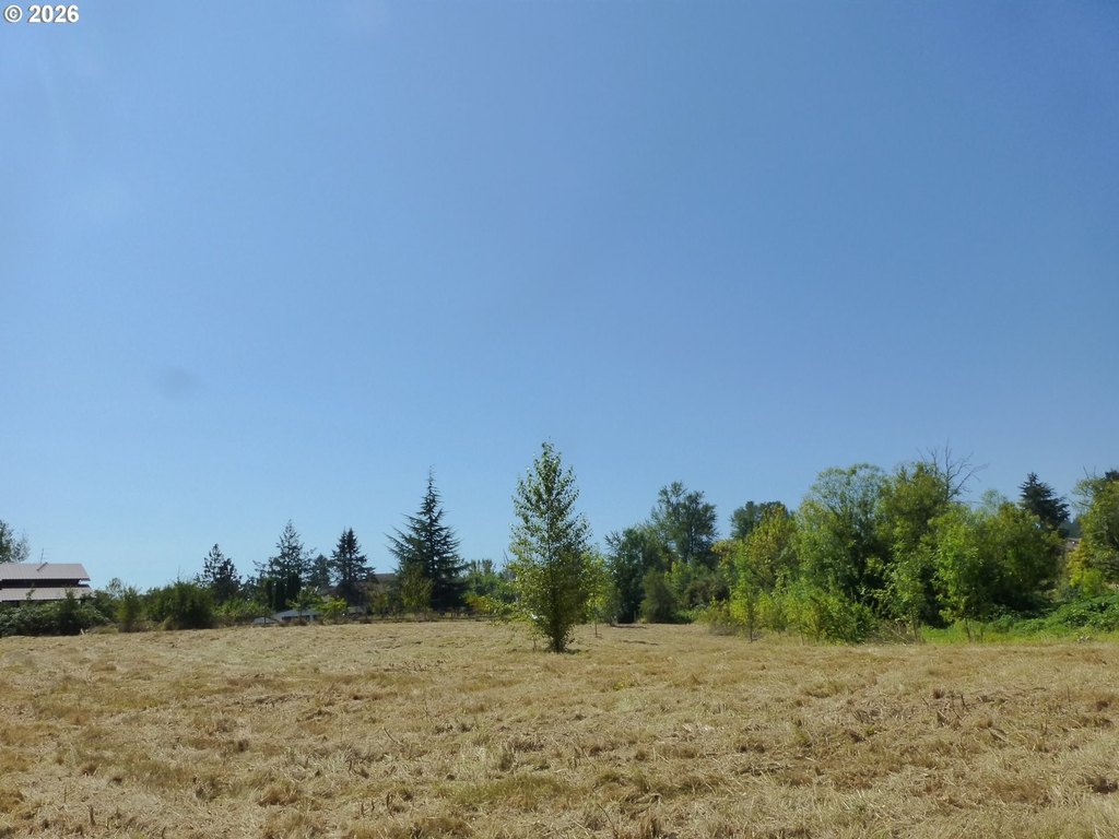 Picture 31