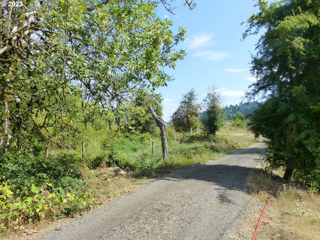 Picture 16