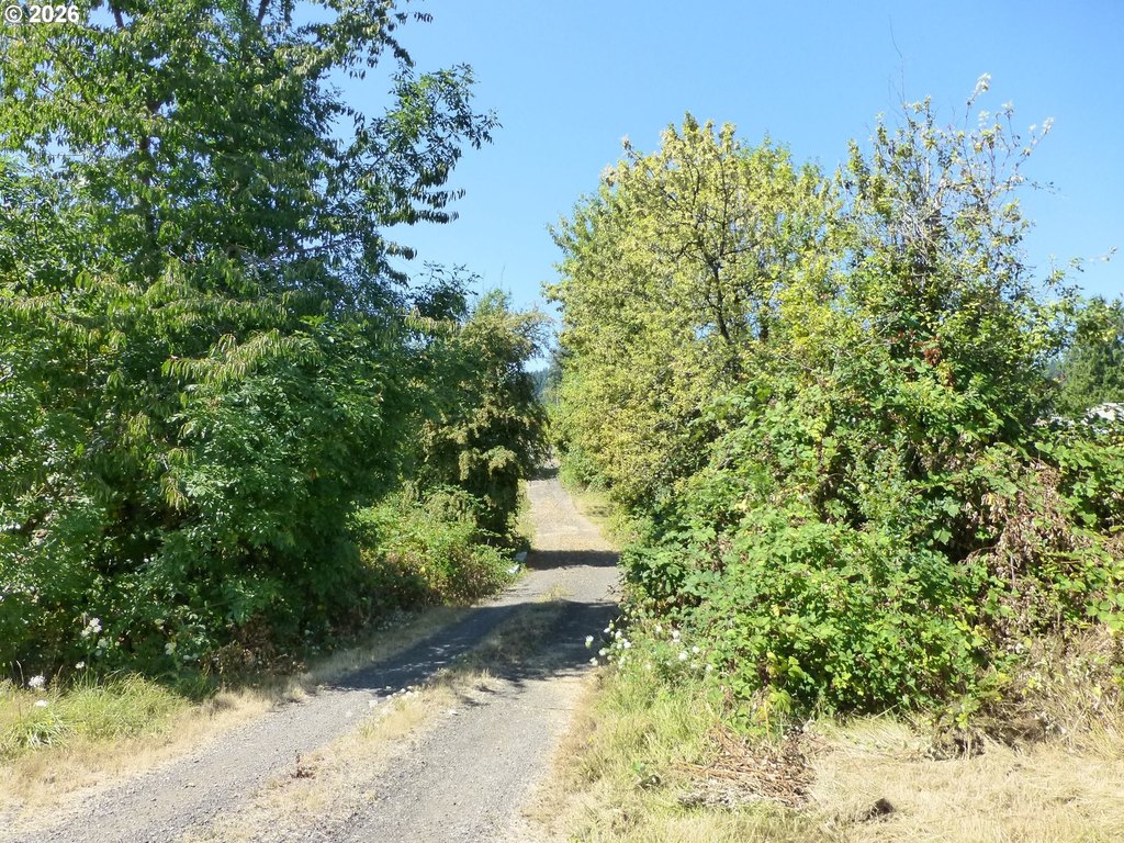 Picture 7