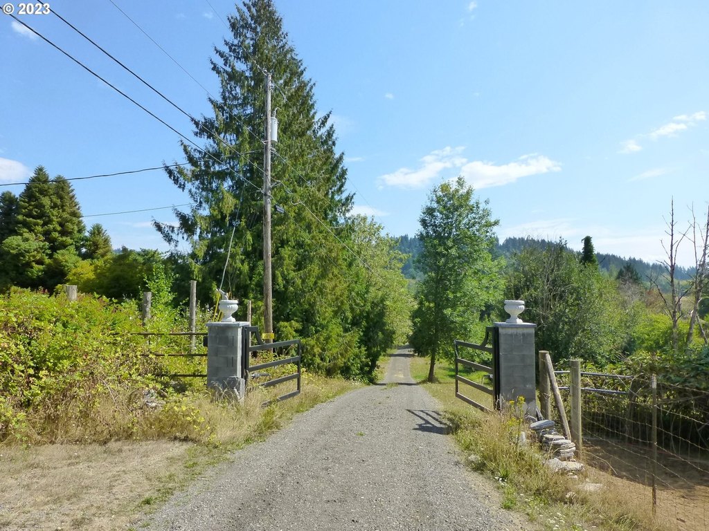 Picture 18