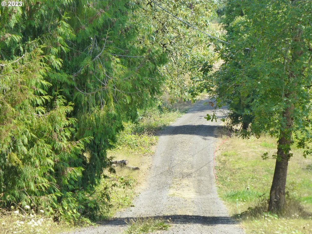 Picture 15