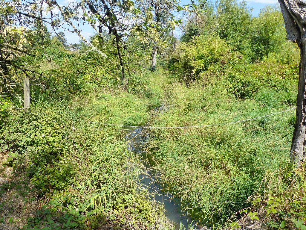 Picture 23