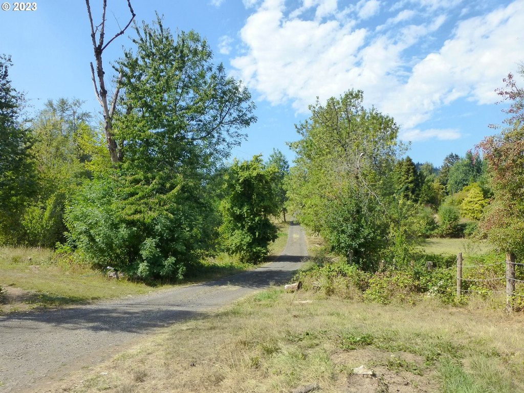 Picture 17