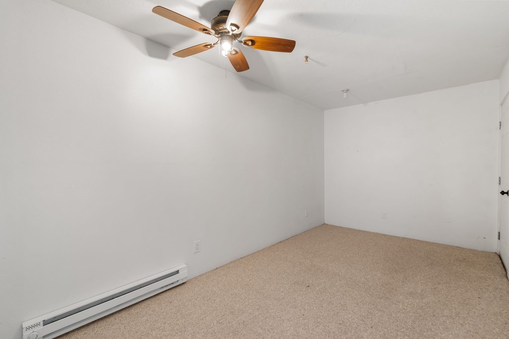 Picture 42
