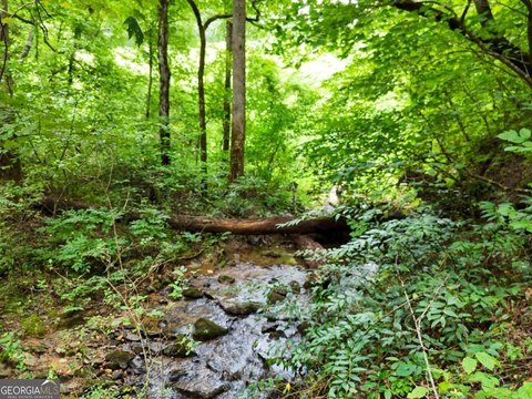 Undeveloped Land Near Downtown Clayton