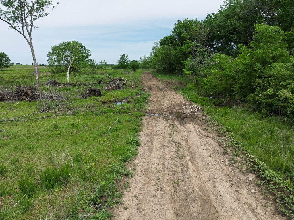 Picture 18