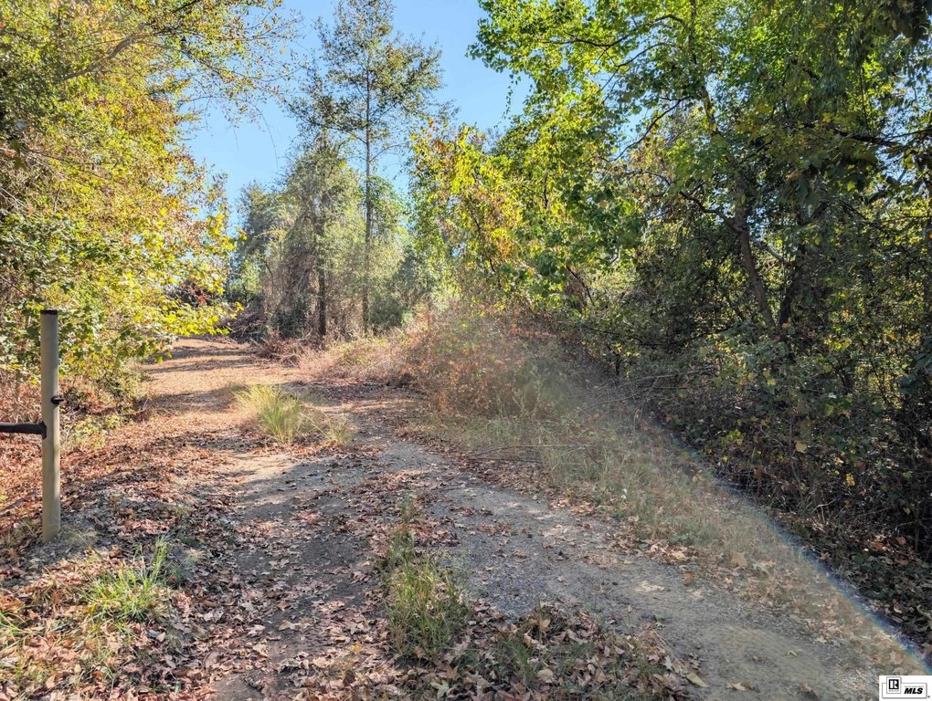 Picture 18