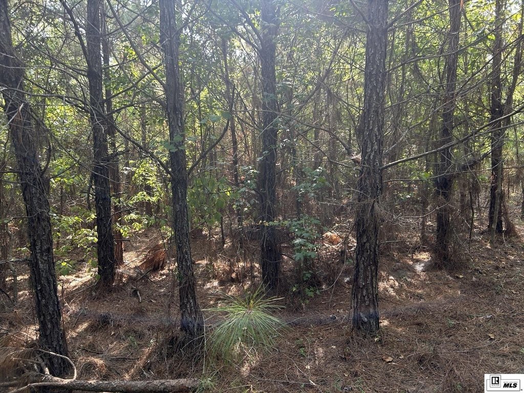 Picture 4