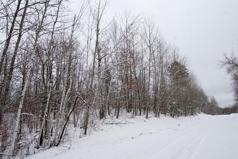 Wooded Recreational Home Lot