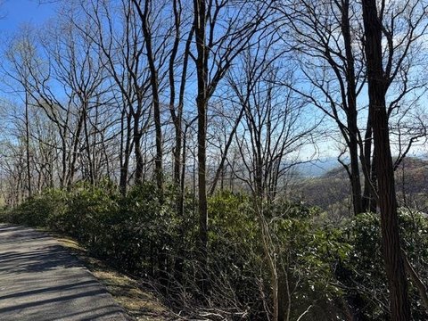 Land with Mountain Views