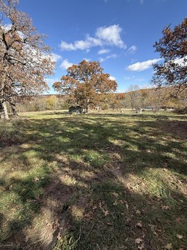 Land with Utilities Ready