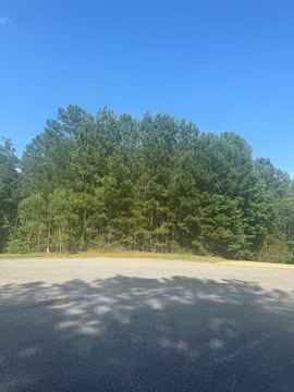 LAND - Pine Mountain, GA