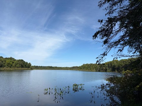 Land, Minocqua, WI