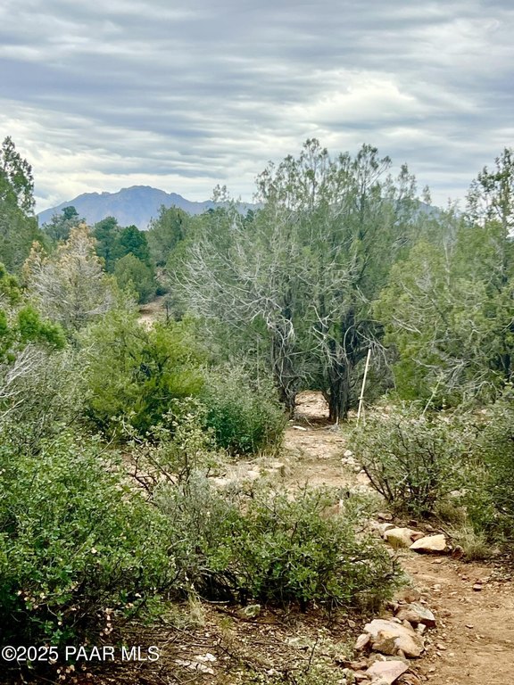 Picture 8