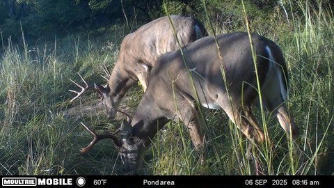 20 Acres of Unimproved Land