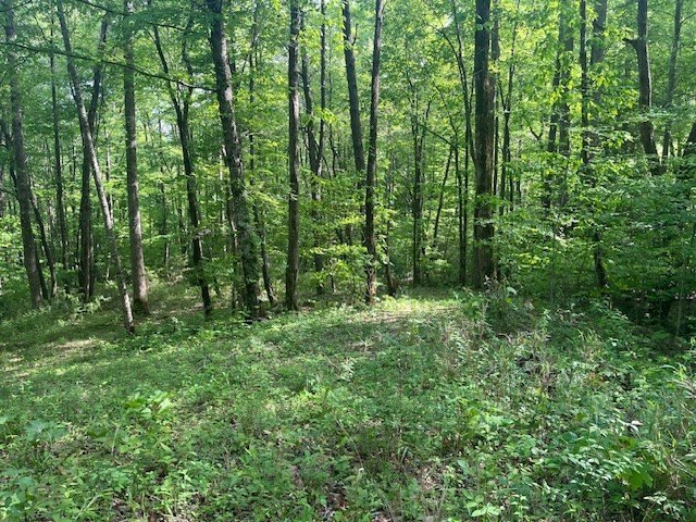 Picture 8