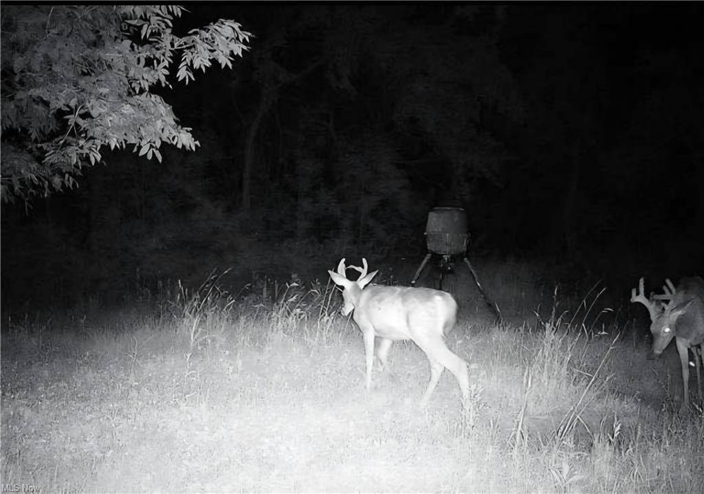 Picture 16