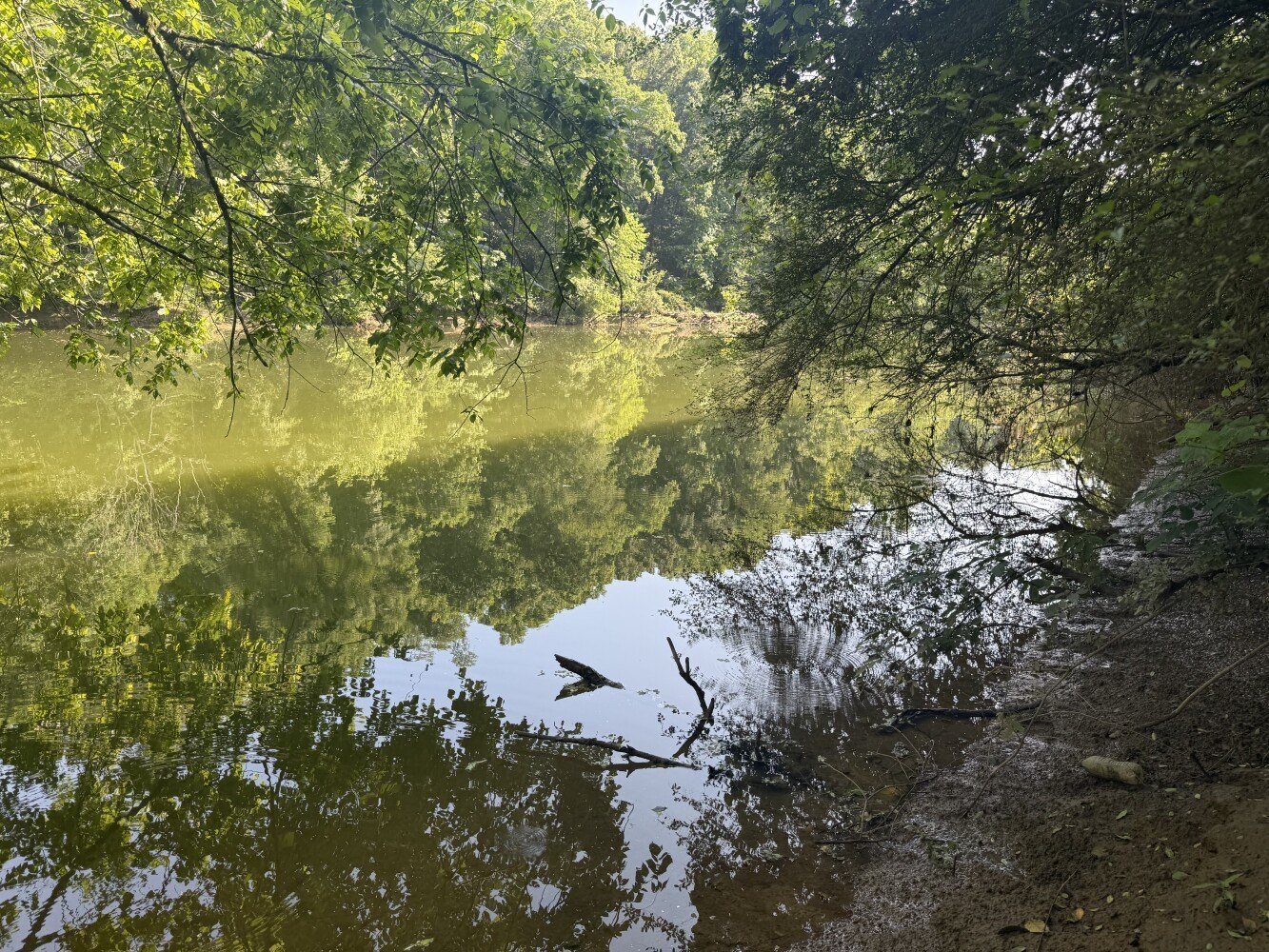 Waterfront Land in Sipsey, Alabama