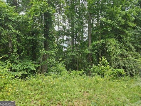 Residential Lot in Established Community