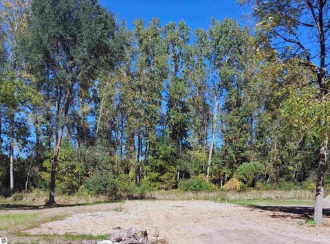 Vacant Lot/Land, Maple Rapids, MI