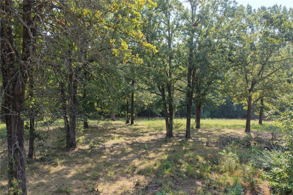 Picture 13
