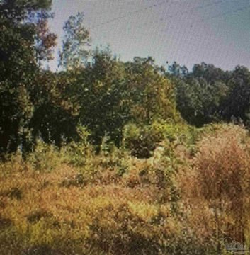 LAND - Pensacola, FL