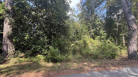 Waterfront Land Homesite Opportunity