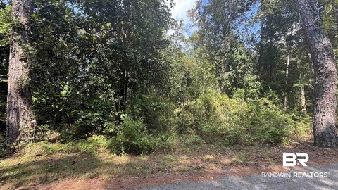 Waterfront Land Homesite Opportunity