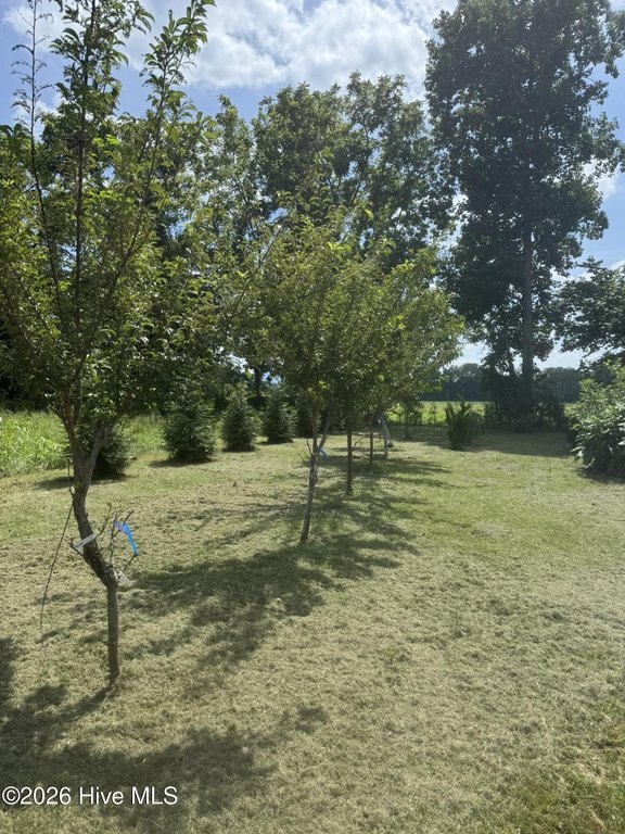 Picture 11