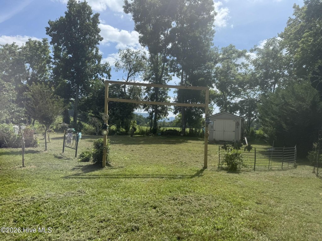 Picture 4