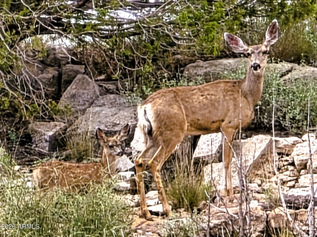 Picture 22