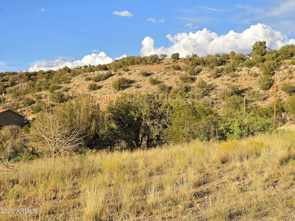 Picture 60