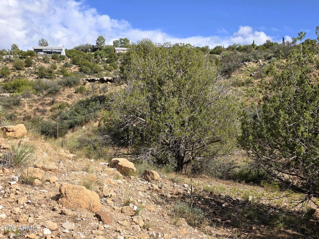 Picture 47