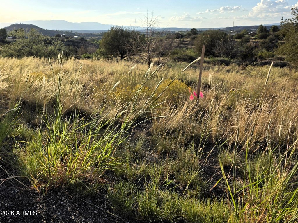 Picture 53