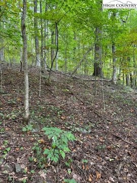 Creston, NC Mountain Land