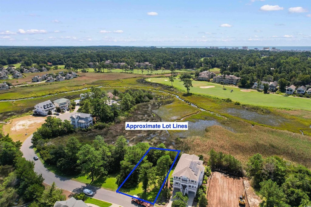 Picture 13