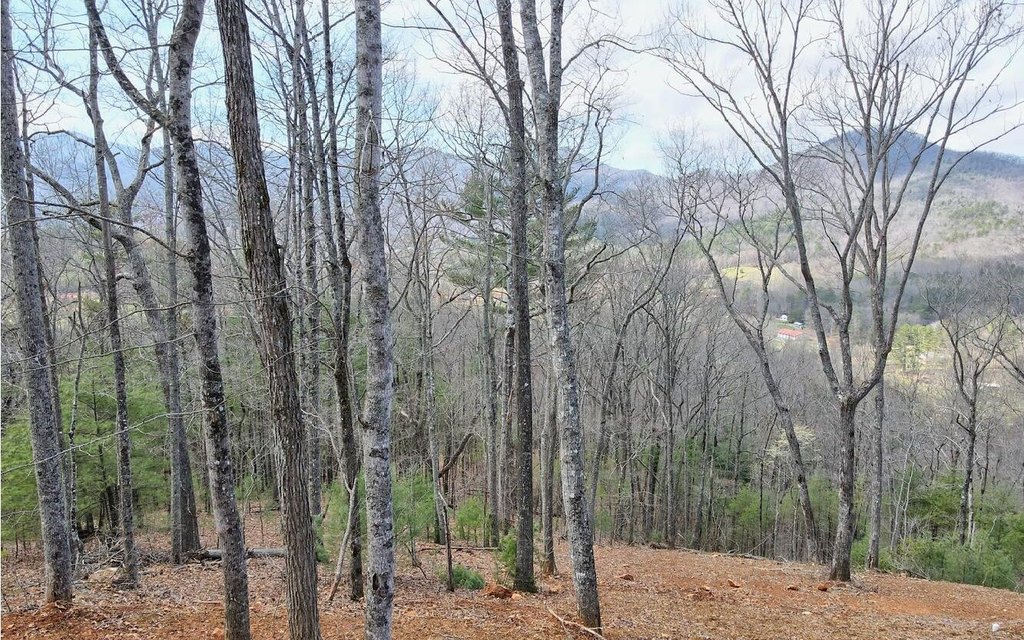 Picture 12