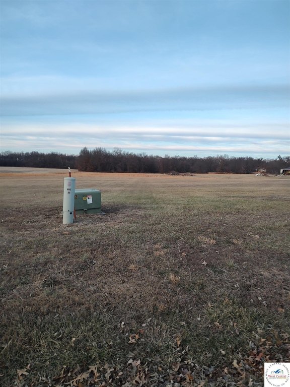 Picture 10
