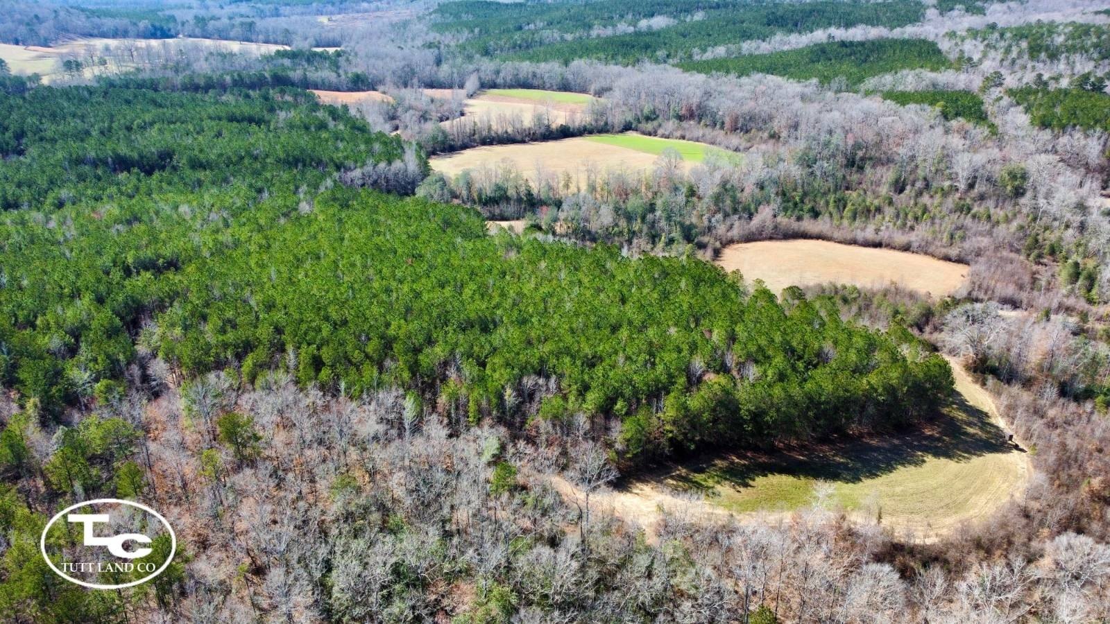Versatile Land with Creek Frontage