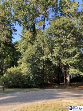 Land, MULLINS, SC