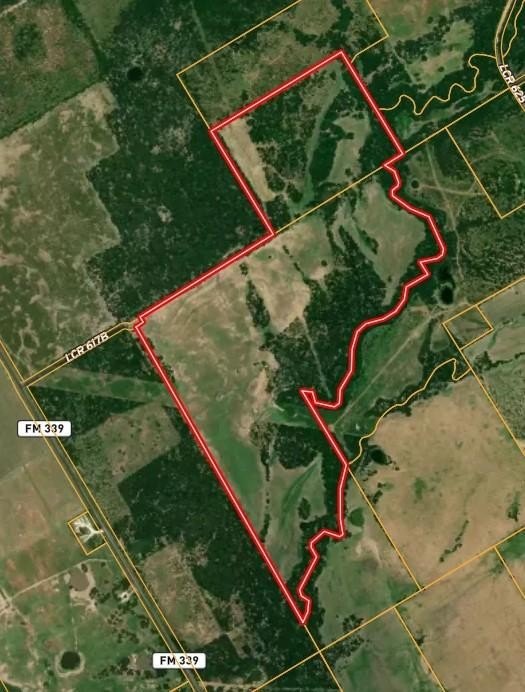 Picture 27